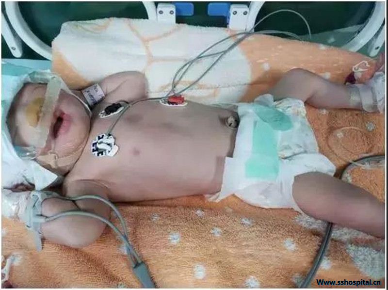 微信图片_20190225094711.jpg 微信图片_20190225094711.jpg