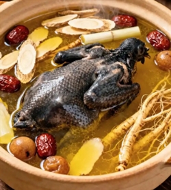 【健康科普】“莫氏鸡煲”再火，也别乱学煲汤！断肠草vs五指毛桃，认错要人命